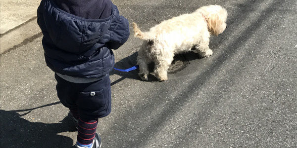 看板犬アンディ 散歩中 高精度プラスチック金型 及川産業 埼玉 草加 八潮 東京 足立 看板犬アンディ 散歩中 高精度プラスチック金型 及川産業 埼玉 草加 八潮 東京 足立